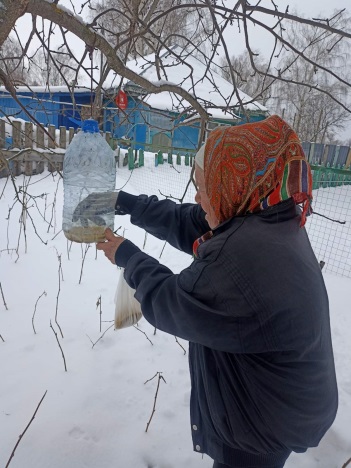 Социальные работники приняли участие во всероссийской акции «Покормите птиц зимой!»