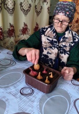 Гарденотерапия с получателями социальных услуг